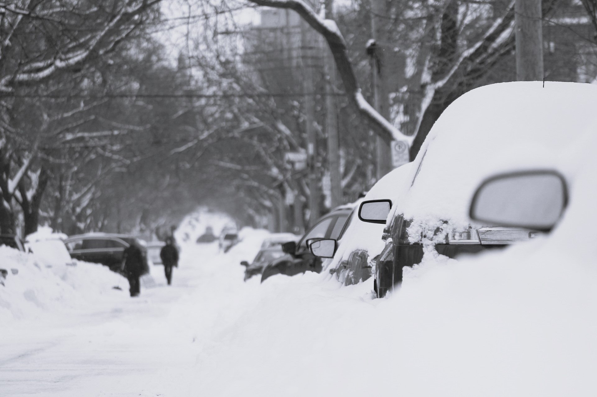 Scene of a street in blizzard-like conditions, showing the street and a line of several vehicles covered in snow