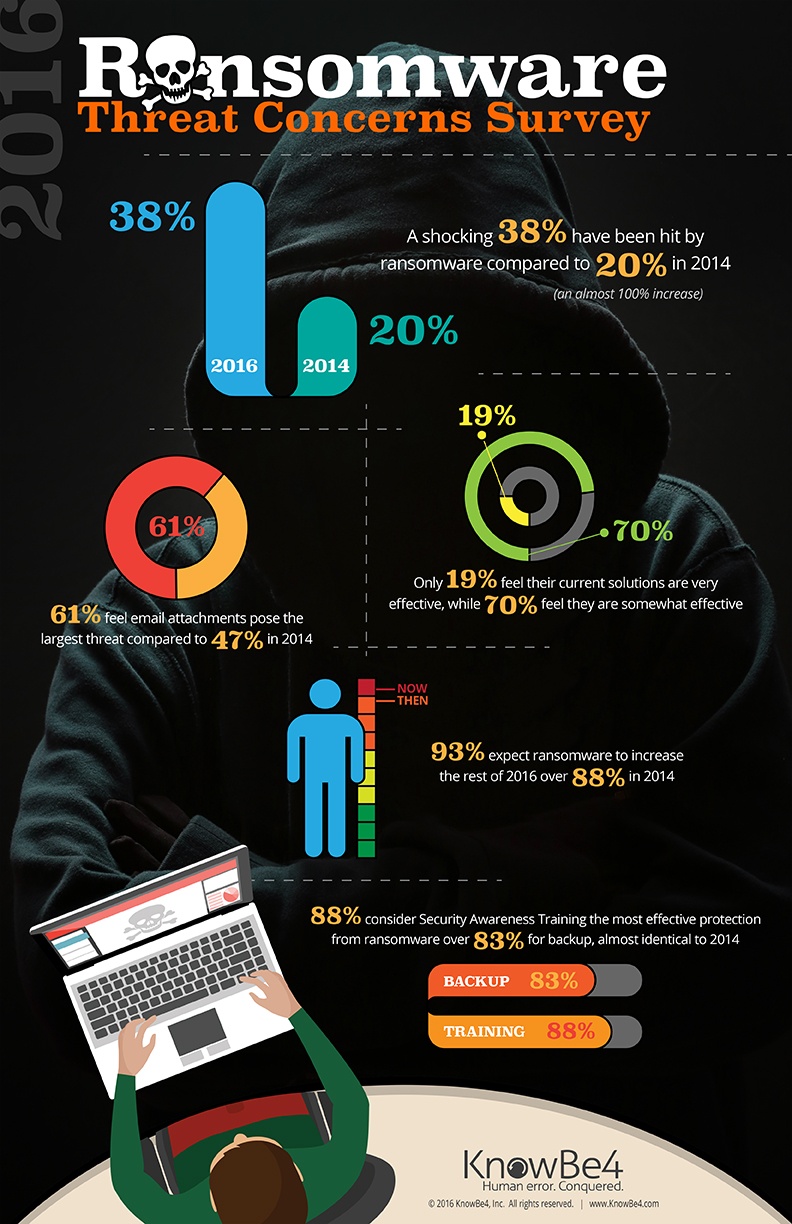 Ransomware infographic